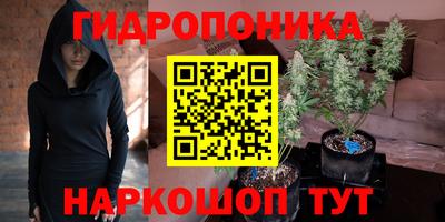 бошки Краснознаменск