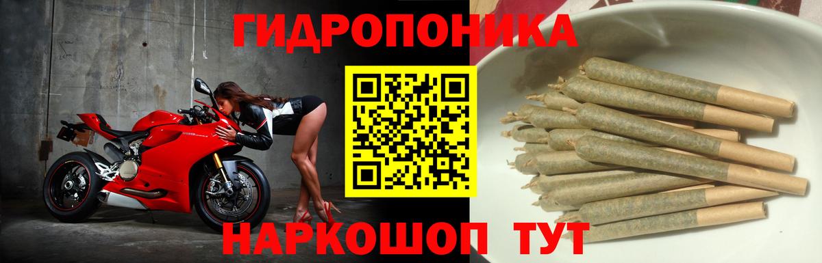 Шишки марихуана Amnesia Учалы